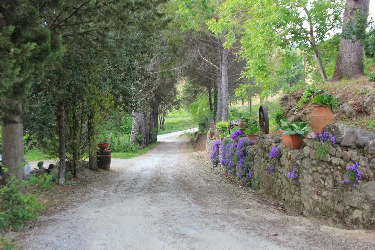 Santa Chiara Bed And Breakfast Monteriggioni Italy
