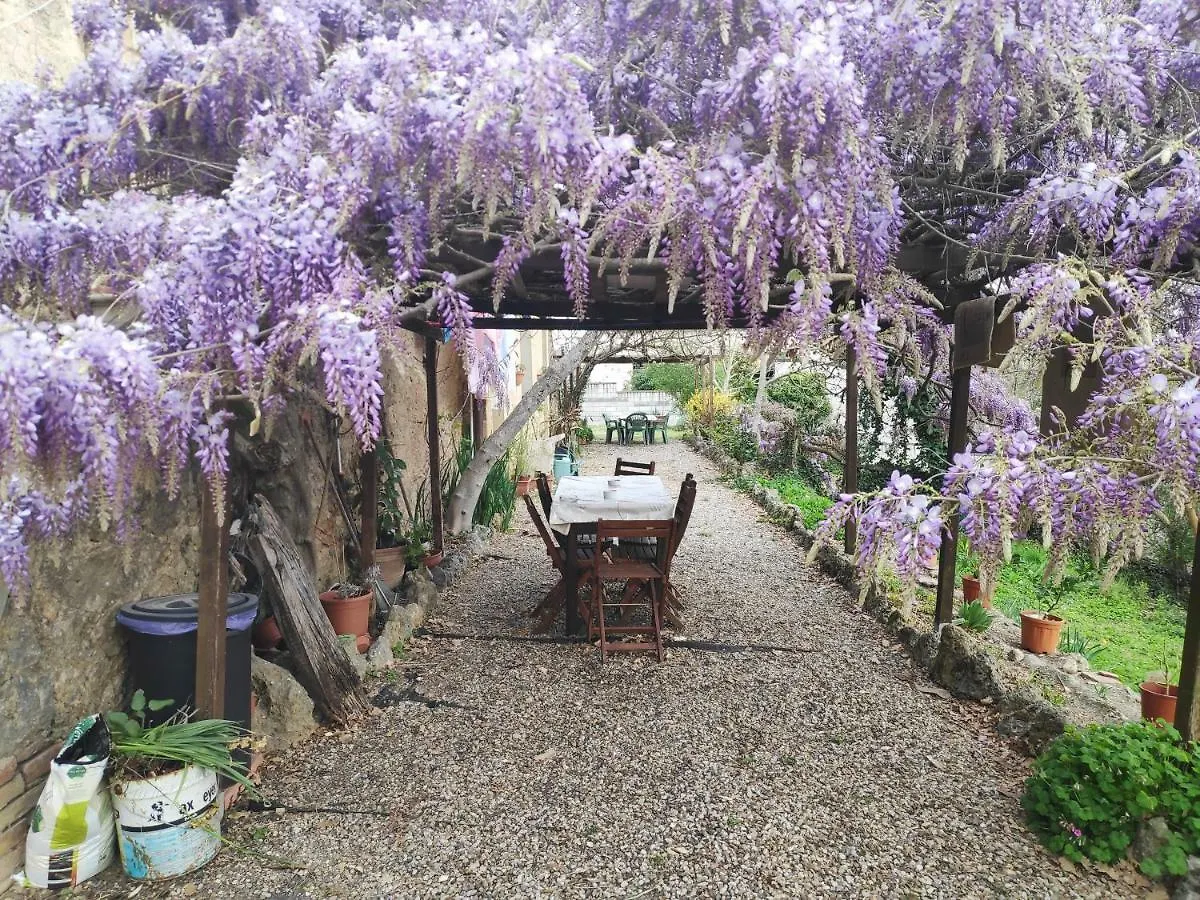 Santa Chiara Bed And Breakfast Monteriggioni Apartamento